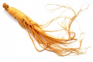 Ginseng2