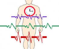 le_decalage_de_lhorloge_biologique_augmente_le_risque_de_cancer_du_sein