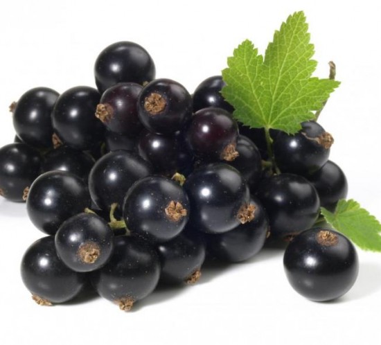 cassis
